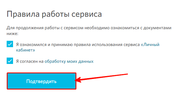 Подтверждение ознакомления с правилами работы сервиса